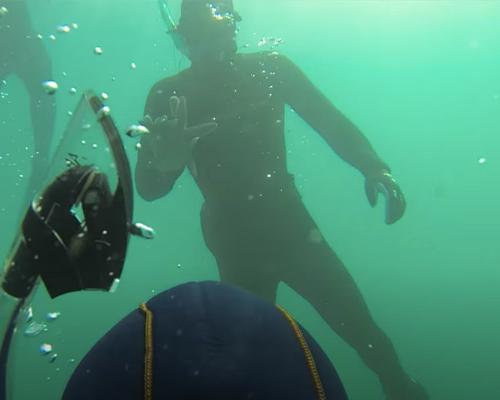 Students snorkeling